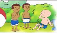 Caillou and the Summer Injuries | Caillou Cartoon