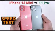iPhone 12 Mini vs iPhone 11 Pro : Speed Test + Size Comparison + Ram Management