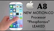 NEW Apple iPhone 6 Motion Co-Processor Leaked