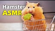 ASMR Hamster Eating Banana Chip in a Mini Shopping Cart