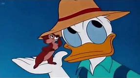 Donald Duck Chip and Dale Cartoons 2016 - Donald Applecore