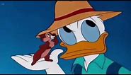 Donald Duck Chip and Dale Cartoons 2016 - Donald Applecore