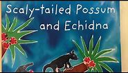 Aboriginal Dreaming Story Scaly Tailed Possum & Echidna