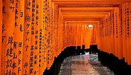 The Most Beautiful Shinto Shrines In Kyoto