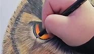 Here is a little clip from my live today! Huge thank you to all who stopped by! #fyp #coloredpencil #coloredpencilart #coloredpencilartist #coloredpencildrawing #coloredpencilartist #coloredpenscils #animalportraits #pencilartist
