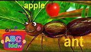 Learn the ABCs in Lower-Case: "a" is for ant and apple | ABC Kid TV Nursery Rhymes & Kids Songs