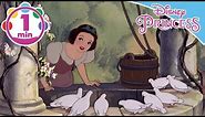 Snow White | I'm Wishing | Disney Princess