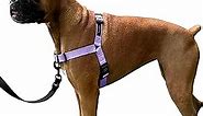 ShawnCo Dream Walk No-Pull Dog Harness- Adjustable, Comfortable, Easy to Use Pet Halter to Help Stop Pulling for Small, Medium and Large Dogs (ICY Lilac, M)