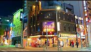 4K Japan Night Walk - Nagoya Red Light District - Nishiki Street (錦道)