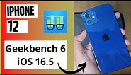 iPhone 12 Geekbench 6 on iOS 16.5 - Apple A14 Bionic Stress test iphone 12 pro max