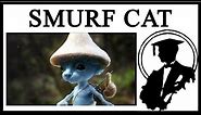 Is The Smurf Cat AI Generated?