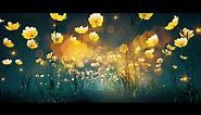 Walking in the fantasy yellow flowers magic garden loop video Background