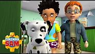 Radar Saves the Day 🐶 Fireman Sam ⭐️ Radar Compilation | Cartoons For Kids