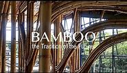 Bamboo--the Tradition of the Future