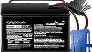 Electric Charge ‘n Ride TB4 Rechargeable Replacement Battery for Ride-on Toys Compatible with Peg Perego Brand, 12Ah, 12 Volt, Black, 1 Unit