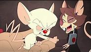 Animaniacs 2021 - Julia and Brains fight.