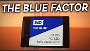 WD 1TB Blue SSD Review - Is it Any GOOD?