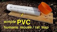 How to make ● a simple PVC HUMANE RAT/MOUSE TRAP