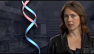 The DNA Double Helix Discovery — HHMI BioInteractive Video