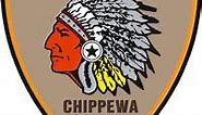 Chippewa County Sheriff's Office refer the community to online tip report form, not phone lines, for face mask and covering inquiries