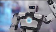 UBTECH YANSHEE - Programmable high level humanoid robot for educational purposes