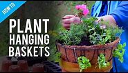A Guide To Hanging Basket Plants & Flowers