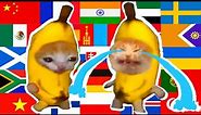 Happy Banana Cat in 60 different languages meme lemon mix