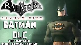 Batman: Arkham City - Animated Series Costume