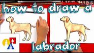 How To Draw A Yellow Labrador
