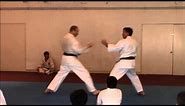 Wado-Ryu Principles in Action with Sensei Tyrone Pardue, 6th Dan, AWKA Chief Instructor