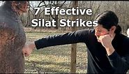 7 Silat Strikes to Kick Your Opponent's A** - Street Fighting Techniques!