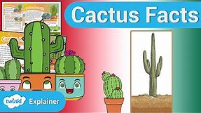 How Do Cacti Survive in the Desert? Cactus Facts for Kids
