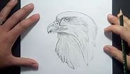 Como dibujar un aguila a lapiz | How to draw an eagle in pencil