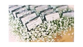 17 Ways to Make Baby’s Breath Look Super Chic for Your Wedding