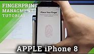 How to Add Fingerpirnt on APPLE iPhone 8 - Set Up Touch ID |HardReset.Info