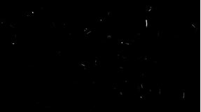 4K Organic Dust Particles On Black Background 2 - Overlay