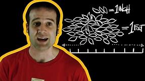 A Guide to Imperial Measurements with Matt Parker | Earth Science
