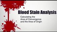 Blood Stain Analysis | Calculating the Area of Convergence and the Area of Origin