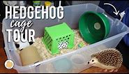 Hedgehog CAGE TOUR! 🦔 | Hedgehog Care | Collab