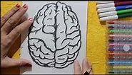 How to draw human brain very easy for beginners human brain sketch draw session
