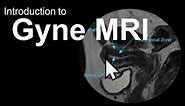 Introduction to Gyne MRI (Female Pelvis): Case-Based Course