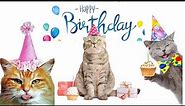 Happy Birthday Song 🎉🎉 From Funny Cats