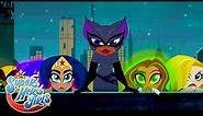 Catwoman's Heist | DC Super Hero Girls