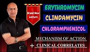 Clindamycin | Erythromycin | Chloramphenicol | MOA & Clinical Correlations🩺