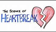The Science of Heartbreak