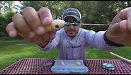 Topwater Lures: Best Tips For More Topwater Strikes