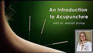 An Introduction to Acupuncture - Episode 23 - Spotlight on Migraine