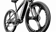 cysum M520 Electric Bike for Adults 29" e-Mountain Bike with 48V 14Ah Battery 500W e-Bike