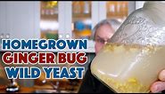 REAL Ginger BEER - Homegrown Wild Yeast Ginger Bug