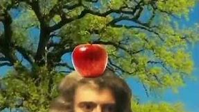 apple falling on issac newton’s head meme